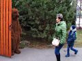 Náhled: Medvěd za vámi zavře